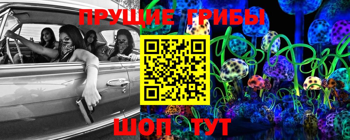 Ярославль  Псилоцибиновые грибы Cubensis  Вход с VPN 