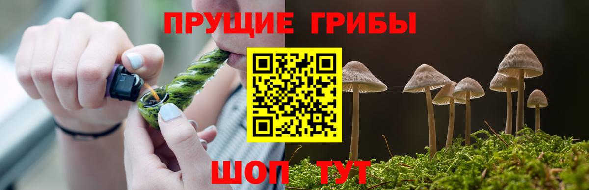 Галлюциногенные грибы ЛСД Ярославль